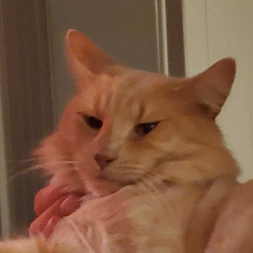 Meet your Posher, Manon